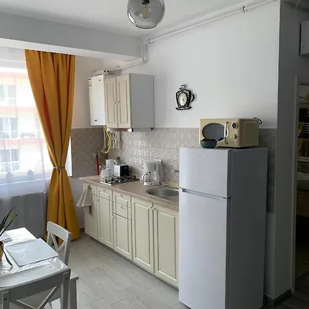 Apartment Garsoniera De La Mare